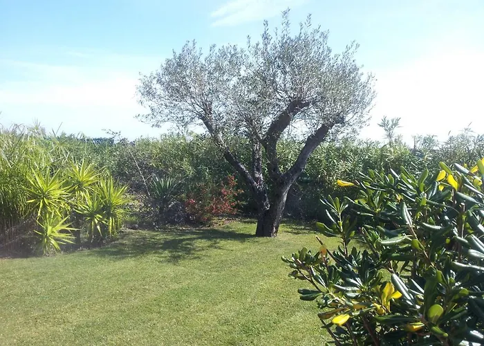 La Casa Dell'artista - Completamente Recintata Con Giardino Privato
