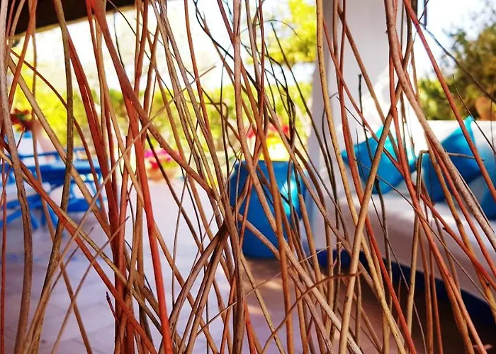 La Casa Dell'artista - Completamente Recintata Con Giardino Privato Orosei